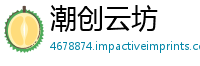 潮创云坊